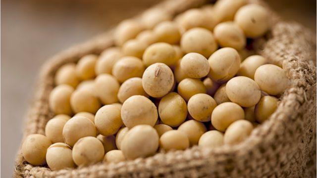 Menopozun etkisinden soya fasulyesiyle korunun