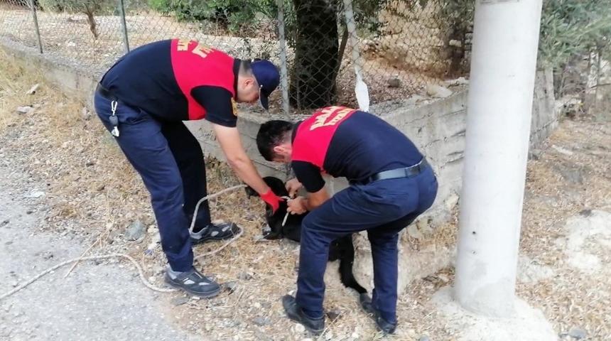 13 metrelik k&ouml;r kuyuya d&uuml;şen k&ouml;peği itfaiye kurtardı