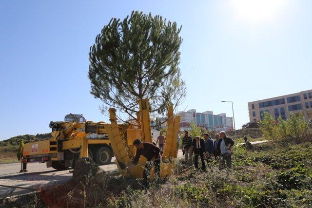 Bartın Üniversitesi’nde ‘Sürdürülebilir Yeşil Kampüs’ çalışmaları hız kazandı