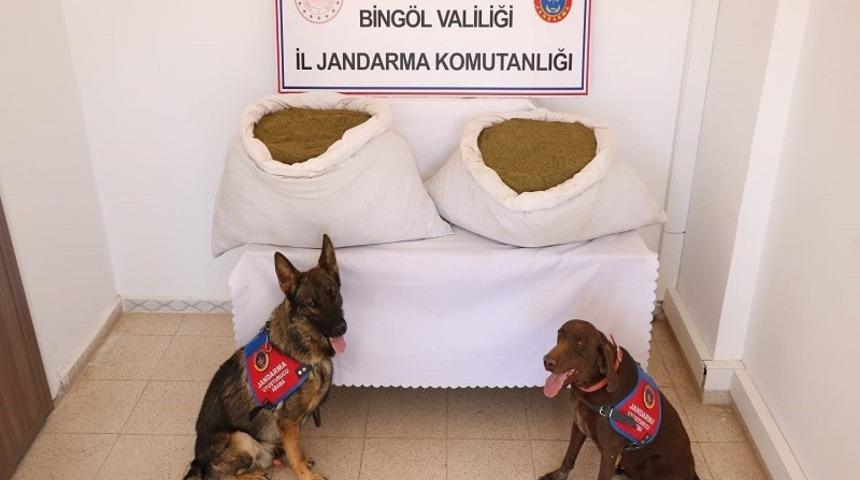 Bing&ouml;l&rsquo;de uyuşturucudan 109 ş&uuml;pheli tutuklandı