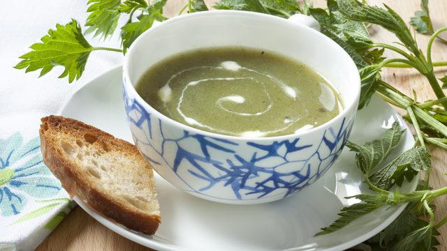 Isırgan otu çorbası nasıl yapılır? Isırgan otu çorbası tarifi