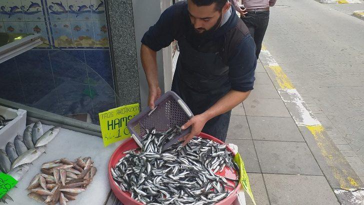 Karadeniz’de hamsi bolluğu G1