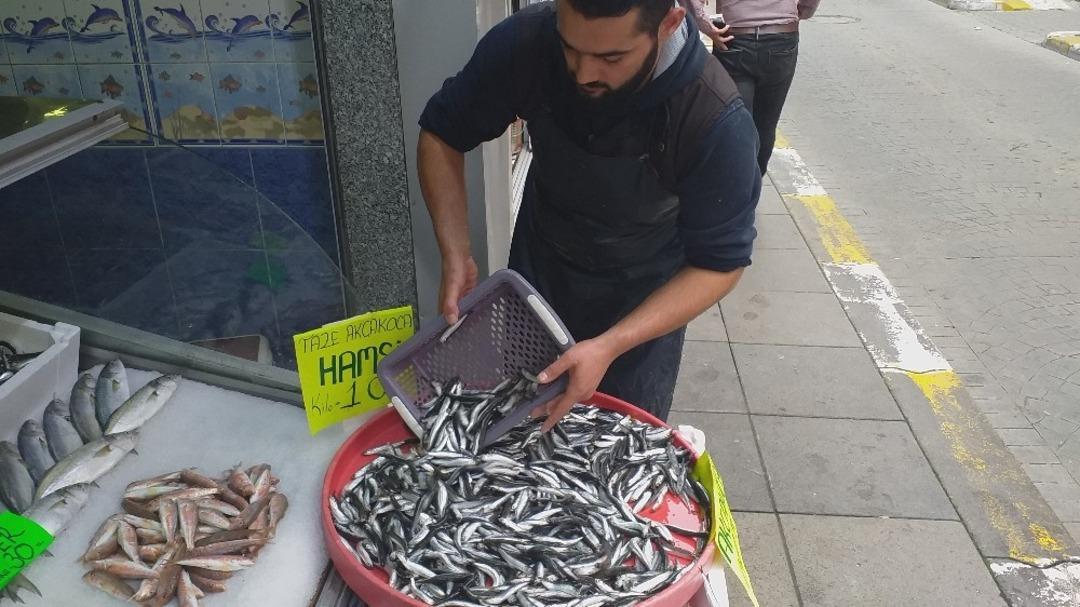 Karadeniz&rsquo;de hamsi bolluğu