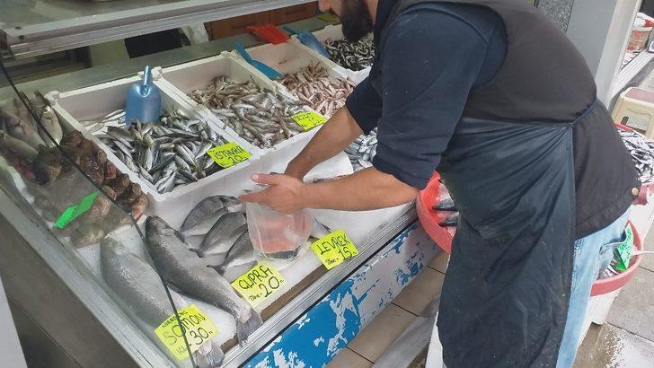 Karadeniz’de hamsi bolluğu G3