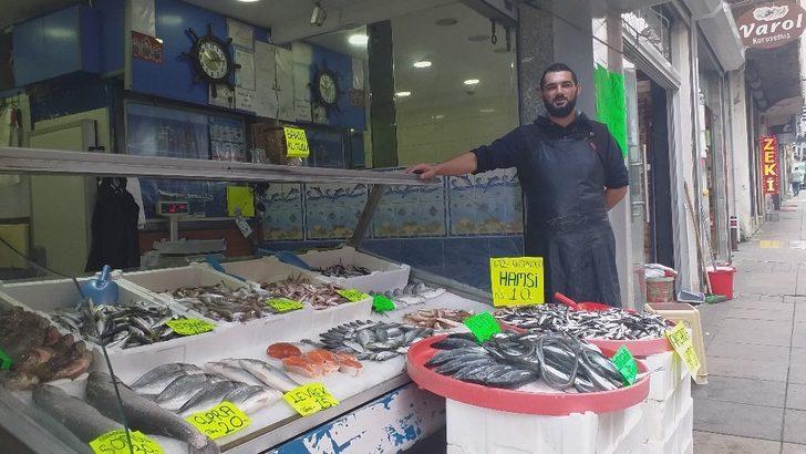 Karadeniz’de hamsi bolluğu G5