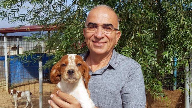 KIF Üyesi Nuri Önel; “Yerli ırklarımızın geleceği için sokak köpeği kavramı olmamalıdır”