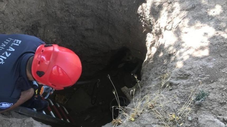 Definecilerin açtığı kuyuya düşen köpek kurtarıldı