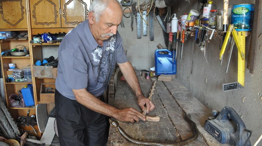 Emekli madenci, kızılcık ağacından baston yapıyor