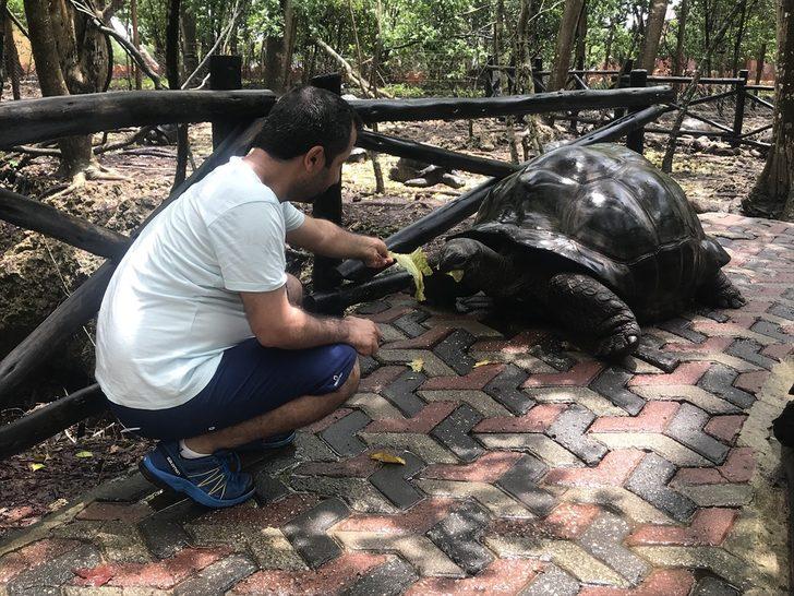 Dev kaplumbağalarıyla ünlü eski köle adası: Changuu G1
