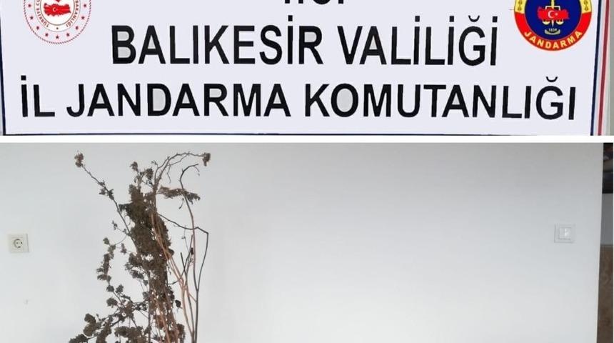 Ayvalık&rsquo;ta uyuşturucu operasyonu