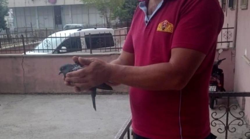 Havalandırma boşluğuna d&uuml;şen kuş kurtarıldı