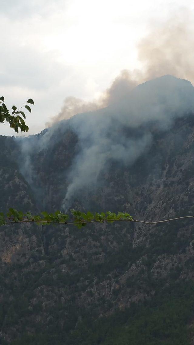 Kahramanmaraş'ta yıldırım yangına neden oldu