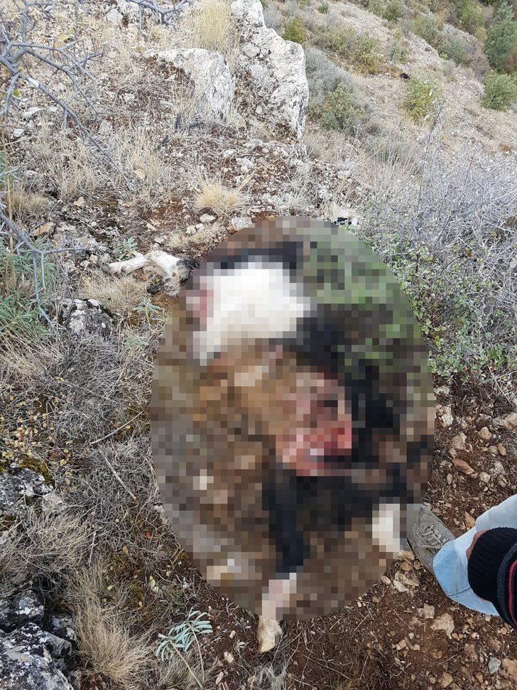 Hava kararınca dağda unutuldular! Korkunç manzara G1