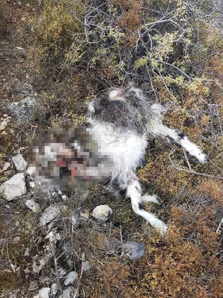 Hava kararınca dağda unutuldular! Korkunç manzara G3