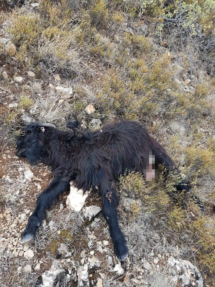 Hava kararınca dağda unutuldular! Korkunç manzara G4