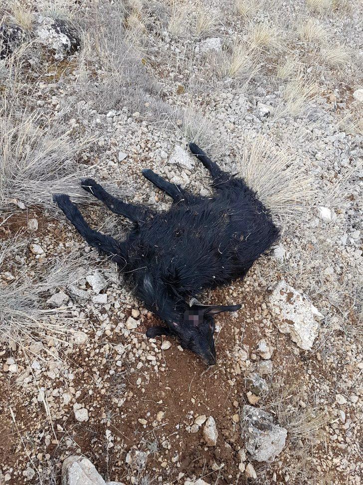 Hava kararınca dağda unutuldular! Korkunç manzara G5