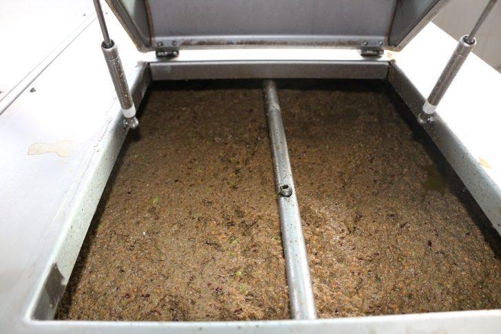 Antbirlik zeytinyağı sezonu açtı G2