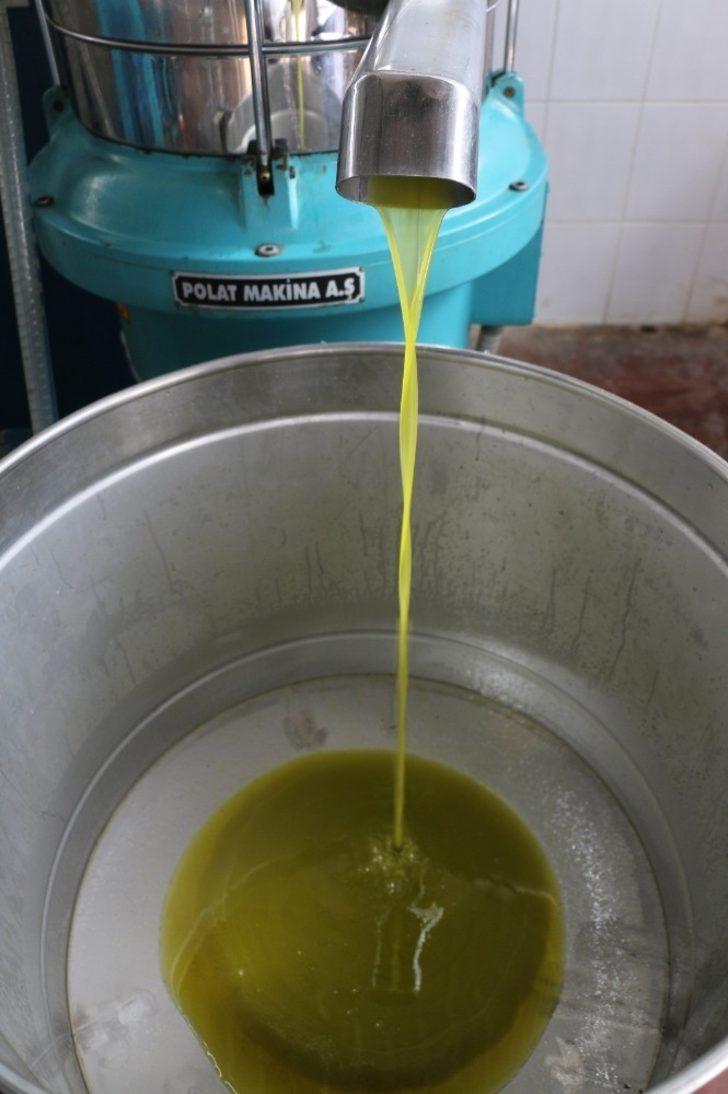 Antbirlik zeytinyağı sezonu açtı G5