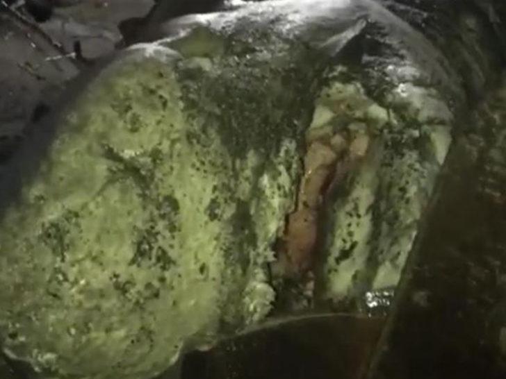 İzmir’de vatandaşlara sabah şoku! Yürüyüş yaparken gördüler G2