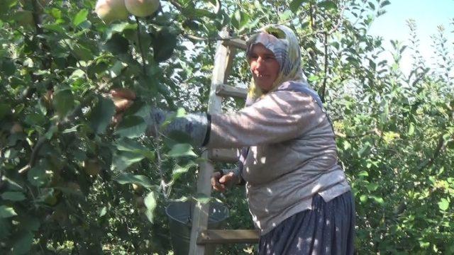 (Özel)  Atama bekleyen bayan öğretmen gündelik işten parasını kazanıyor