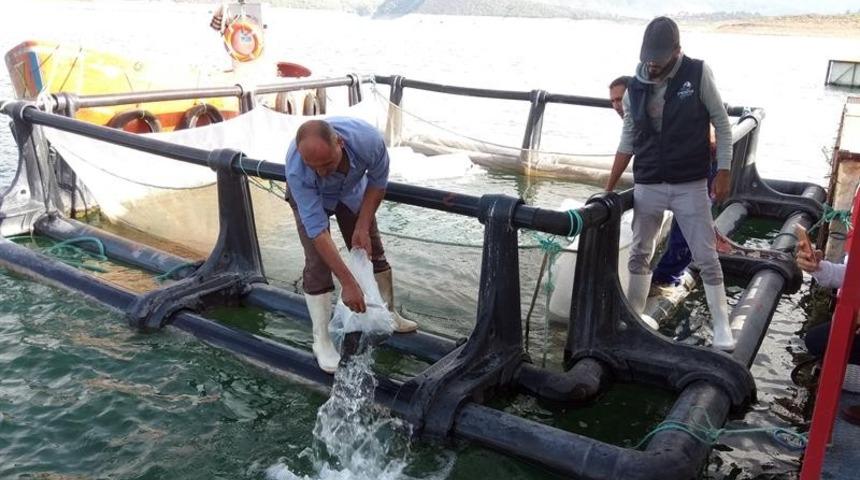 Kemer Baraj G&ouml;l&uuml;&rsquo;ne 2 bin yayın balığı bırakıldı