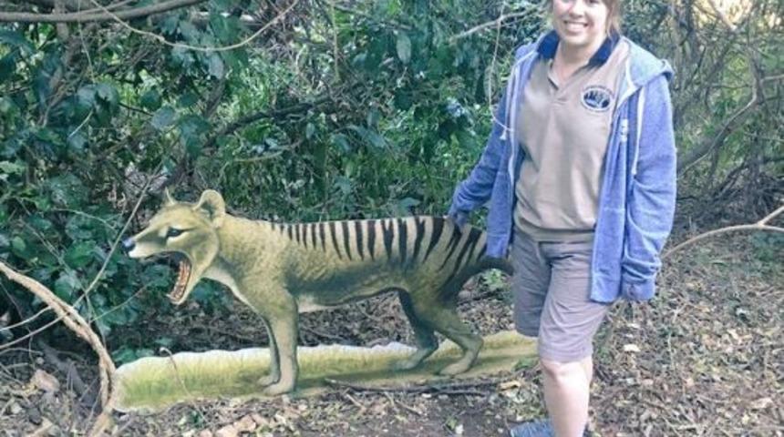 Tazmanya canavarı geri mi döndü!