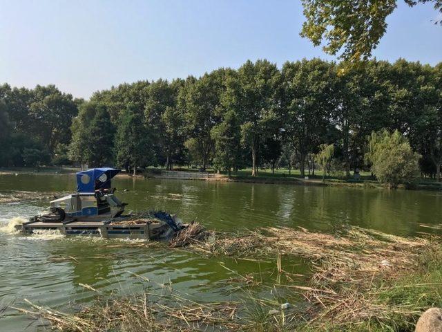 Botanik Park’a estetik dokunuşlar