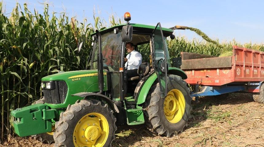 Elazığ&rsquo;da silajlık mısır hasadı başladı