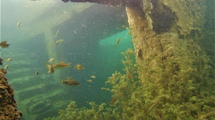 Rumkale’nin yer altında kalan zenginlikleri sergilendi
