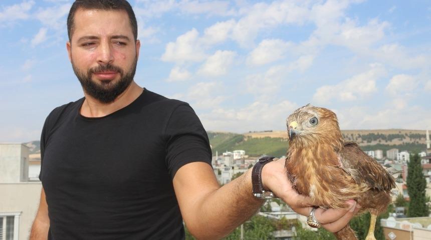 Yaralı Şahin’i, tedavisi için yetkililere teslim etti