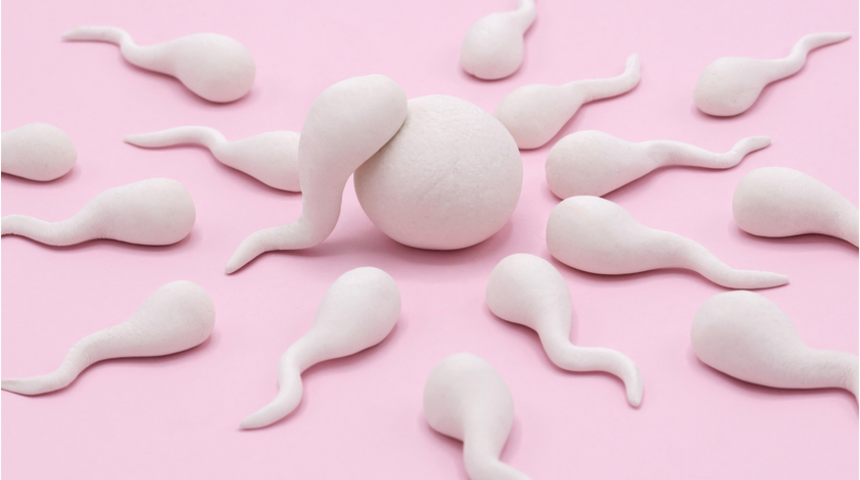 Domates tüketimi, sperm kalitesini arttırıyor