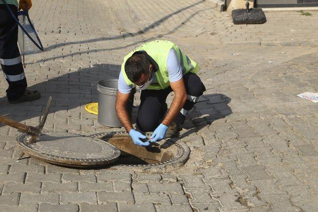 Efeler&rsquo;de ila&ccedil;lama &ccedil;alışmaları devam ediyor 2