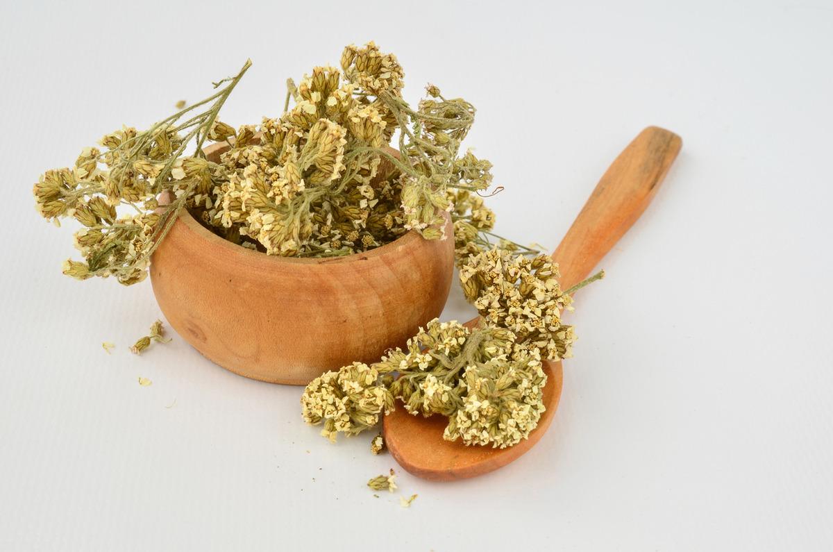 Civanper&ccedil;emi nedir, civanper&ccedil;emi bitkisinin faydaları nelerdir?