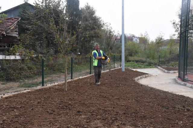 Düzce Belediyesi peyzaj çalışmasına devam ediyor