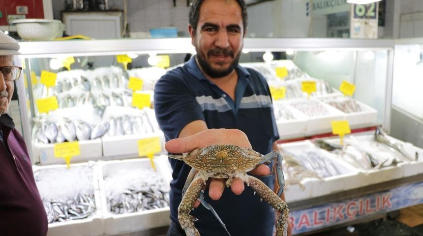 Denizi olmayan kentte yengece rağbet arttı