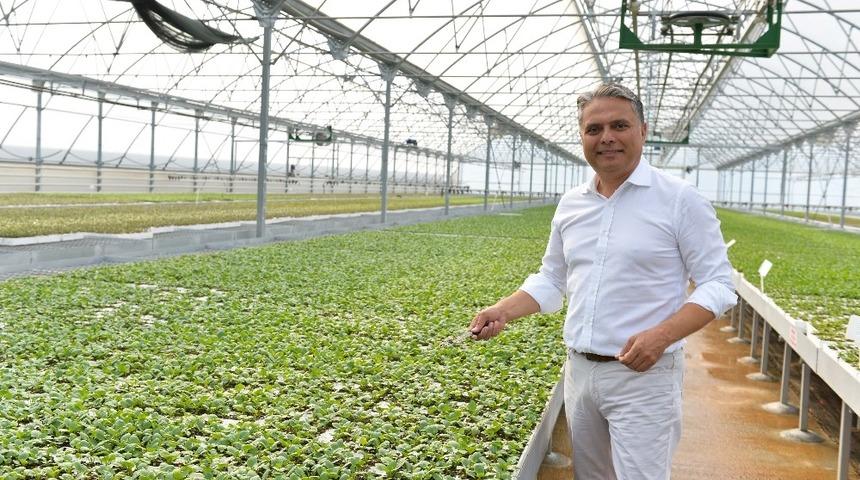 Muratpaşa bah&ccedil;e bitkileri &uuml;retip satacak