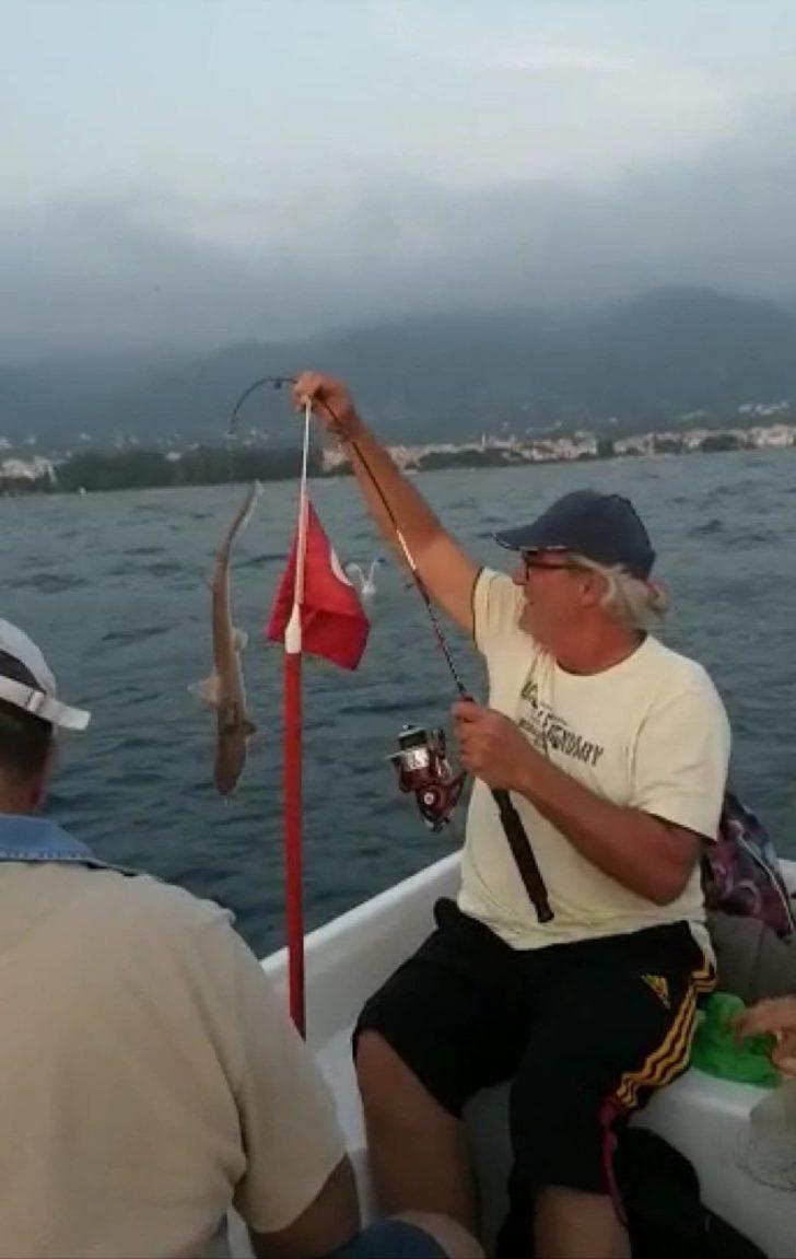İzmir'de 3 günde 3'üncü köpek balığı heyecanı!  G1