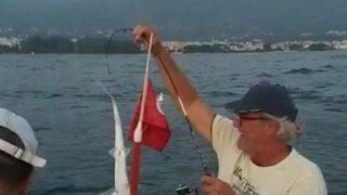 İzmir'de 3 günde 3'üncü köpek balığı heyecanı! 