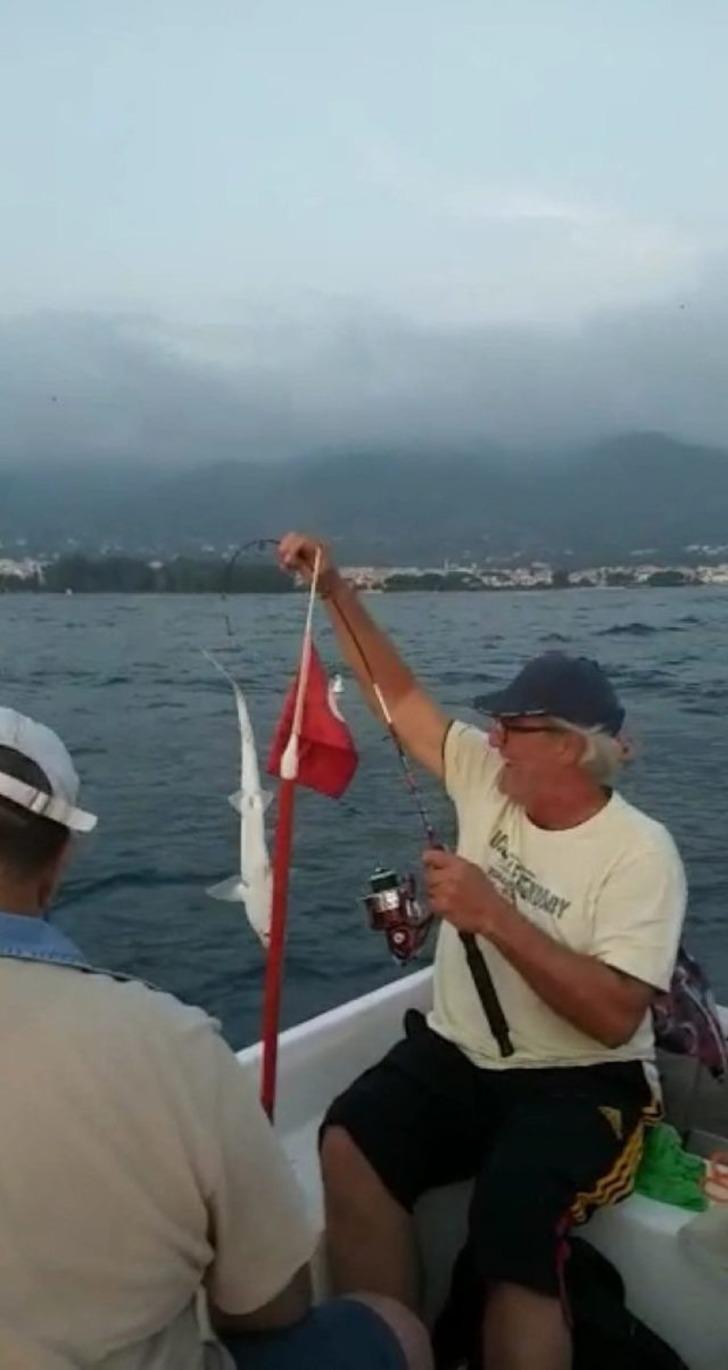 İzmir'de 3 günde 3'üncü köpek balığı heyecanı!  G3