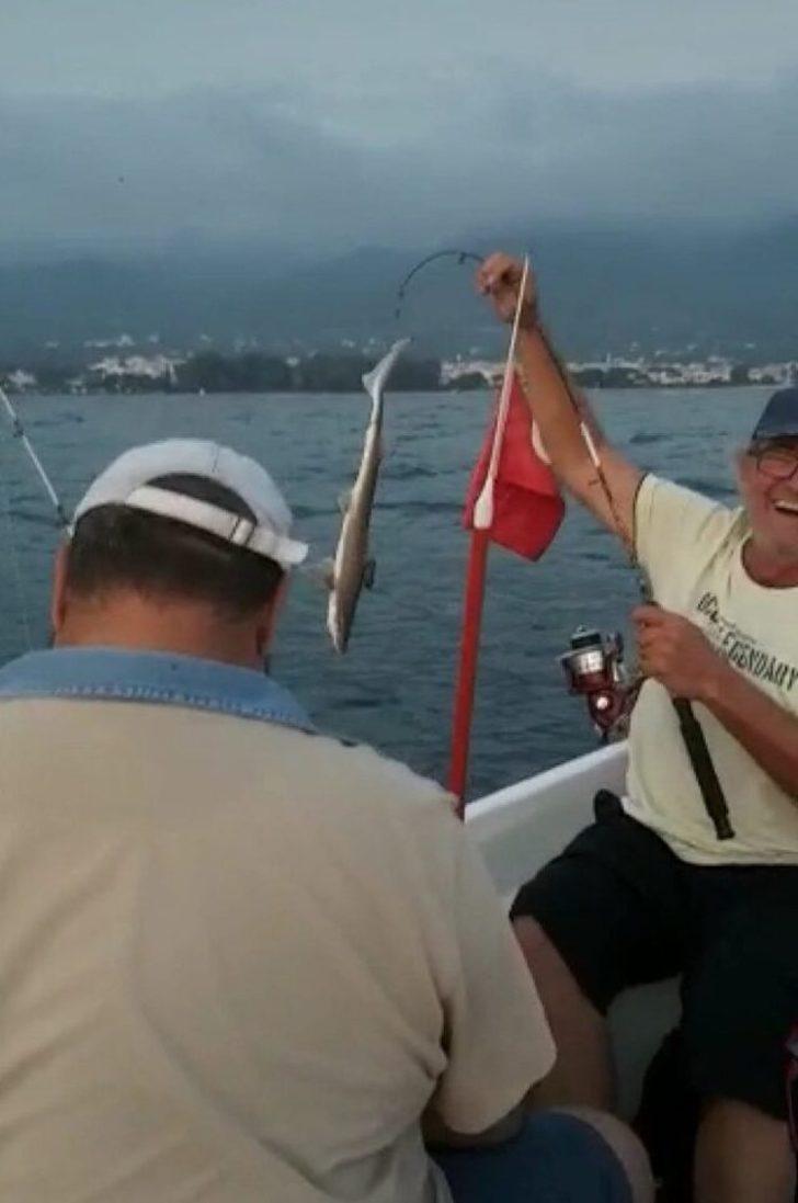 İzmir'de 3 günde 3'üncü köpek balığı heyecanı!  G2