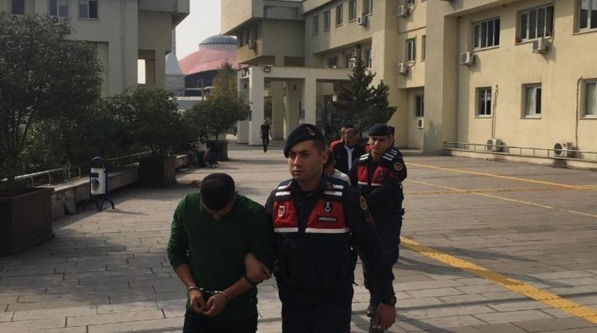 Fındık hırsızları yakalandı: 3 tutuklama