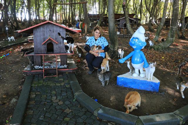 20 dönümlük alan üzerine kurulu 'Kedi Kasabası'