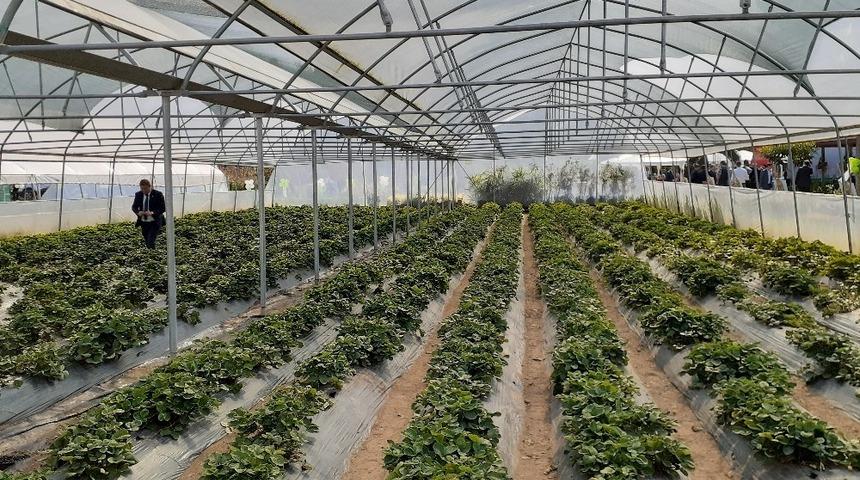 DOKAP Ordu&rsquo;da meyve-sebze bah&ccedil;eleri kuracak