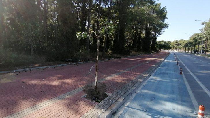 19 yaşındaki Seher'in ölümünde şoke eden gelişme G5