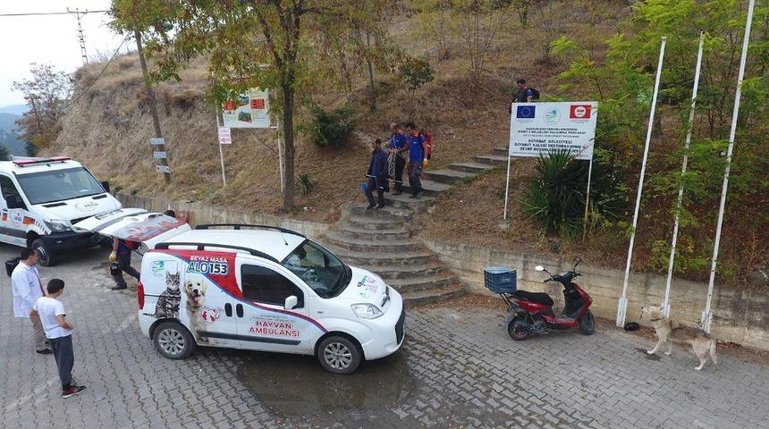 Kalede 1 haftadır mahsur kalan k&ouml;pekler kurtarıldı