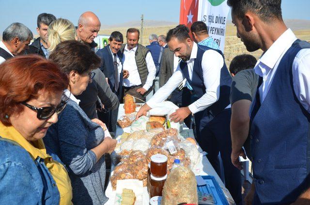 Karaman'da, Obruk Peyniri Mağara Açılış Festivali