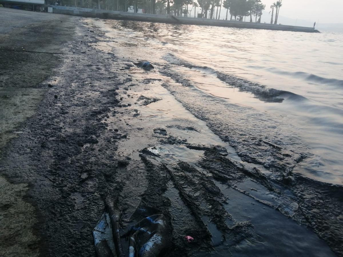 İzmir'de denizde korkutan manzara