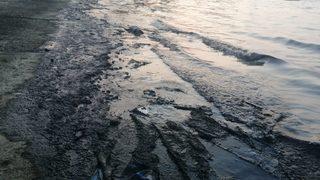 İzmir'de denizde korkutan manzara