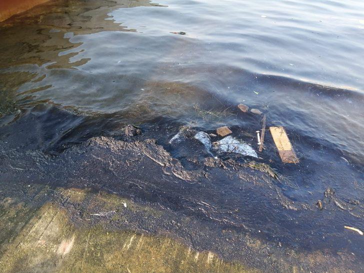 İzmir'de denizde korkutan manzara G2