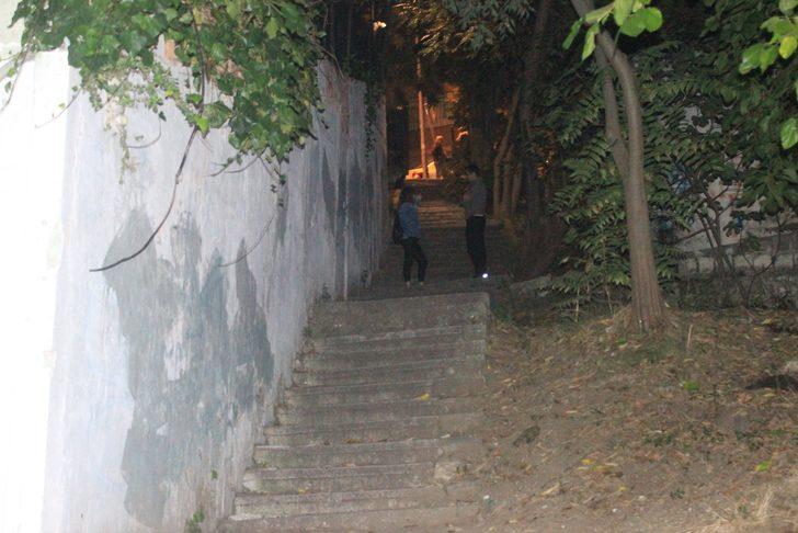 Beşiktaş'ta mide bulandıran olay! Ağaçların arasında saklanıp... G4